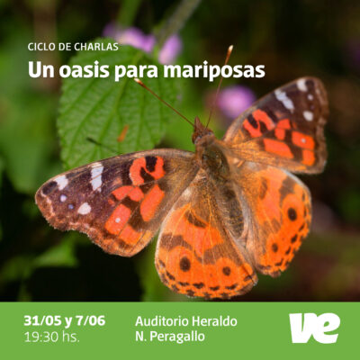 “Un oasis para mariposas”, ciclo de charlas para adentrarnos en el fascinante mundo de los lepidópteros