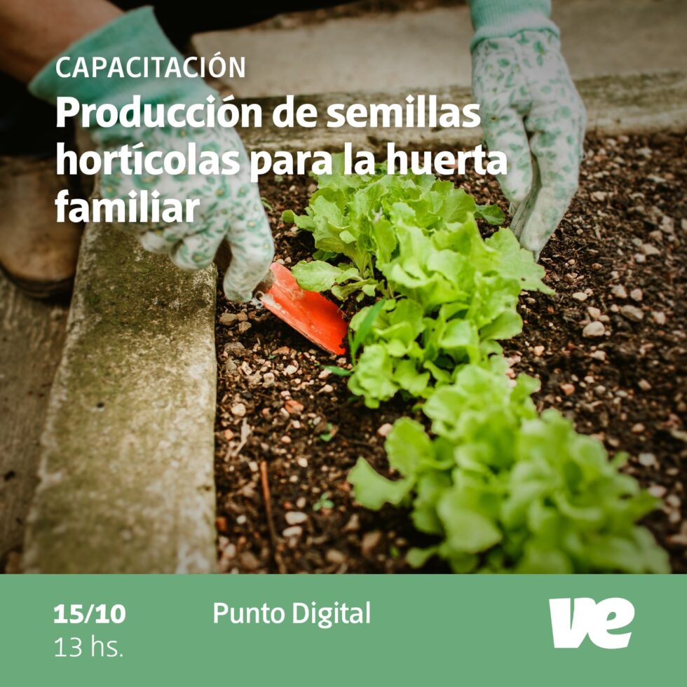 Capacitación en Producción de semillas hortícolas para la huerta ...