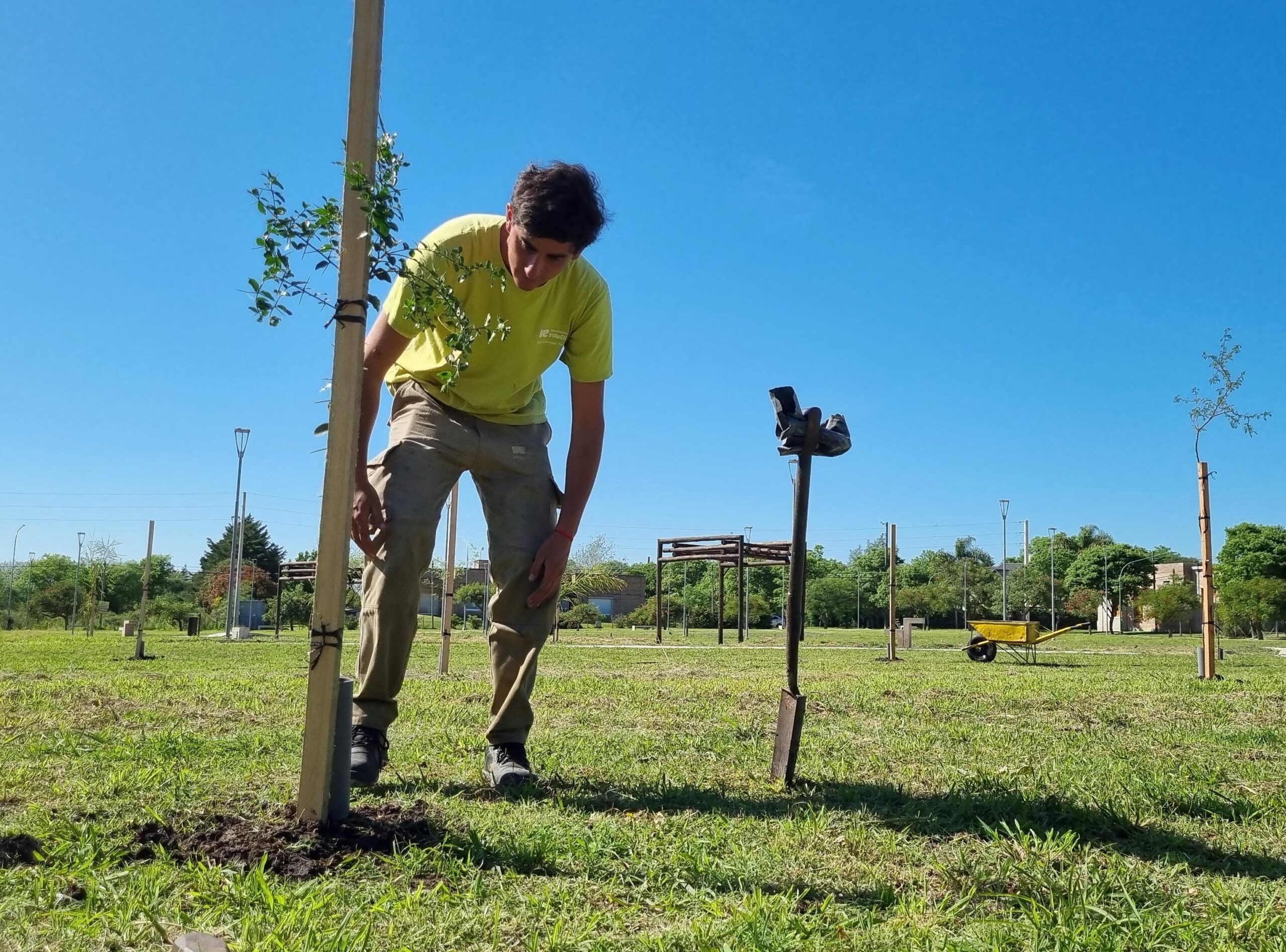 Comenzó la plantación de árboles en la Plaza de Especies Nativas