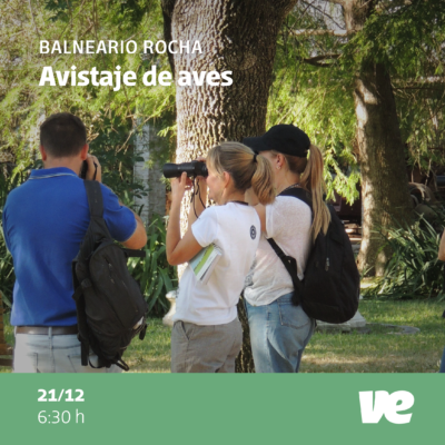 Sábado 21: Jornada de Observación de Aves en El Rocha