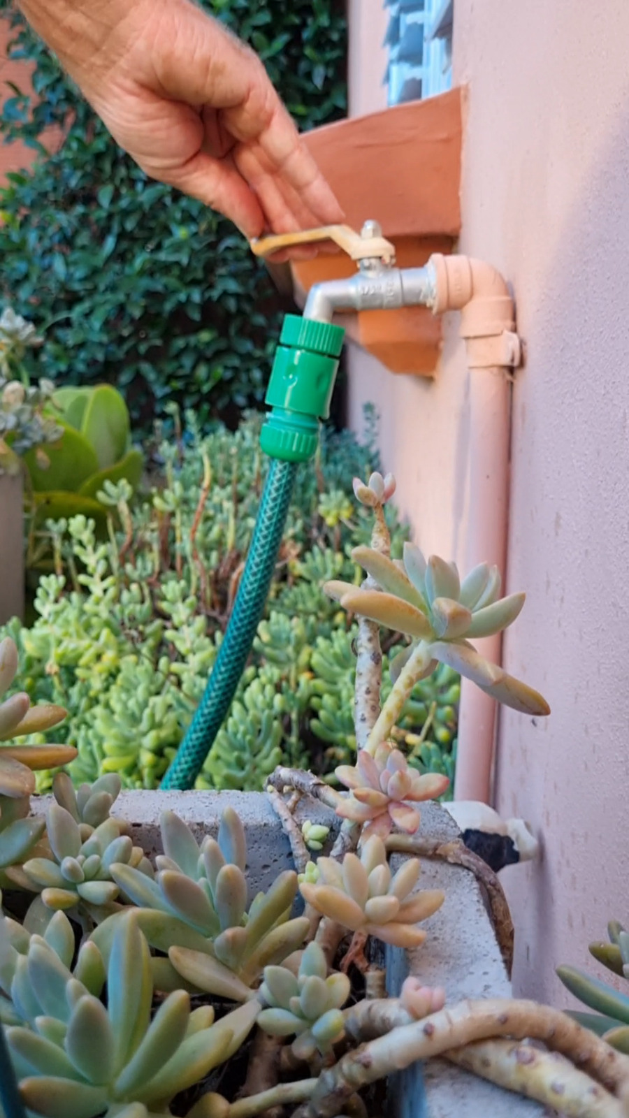 Días y horarios de riego y lavado de veredas en primavera-verano