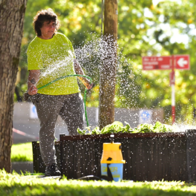 AGUA: nuevos días y horarios para riego y lavado de veredas