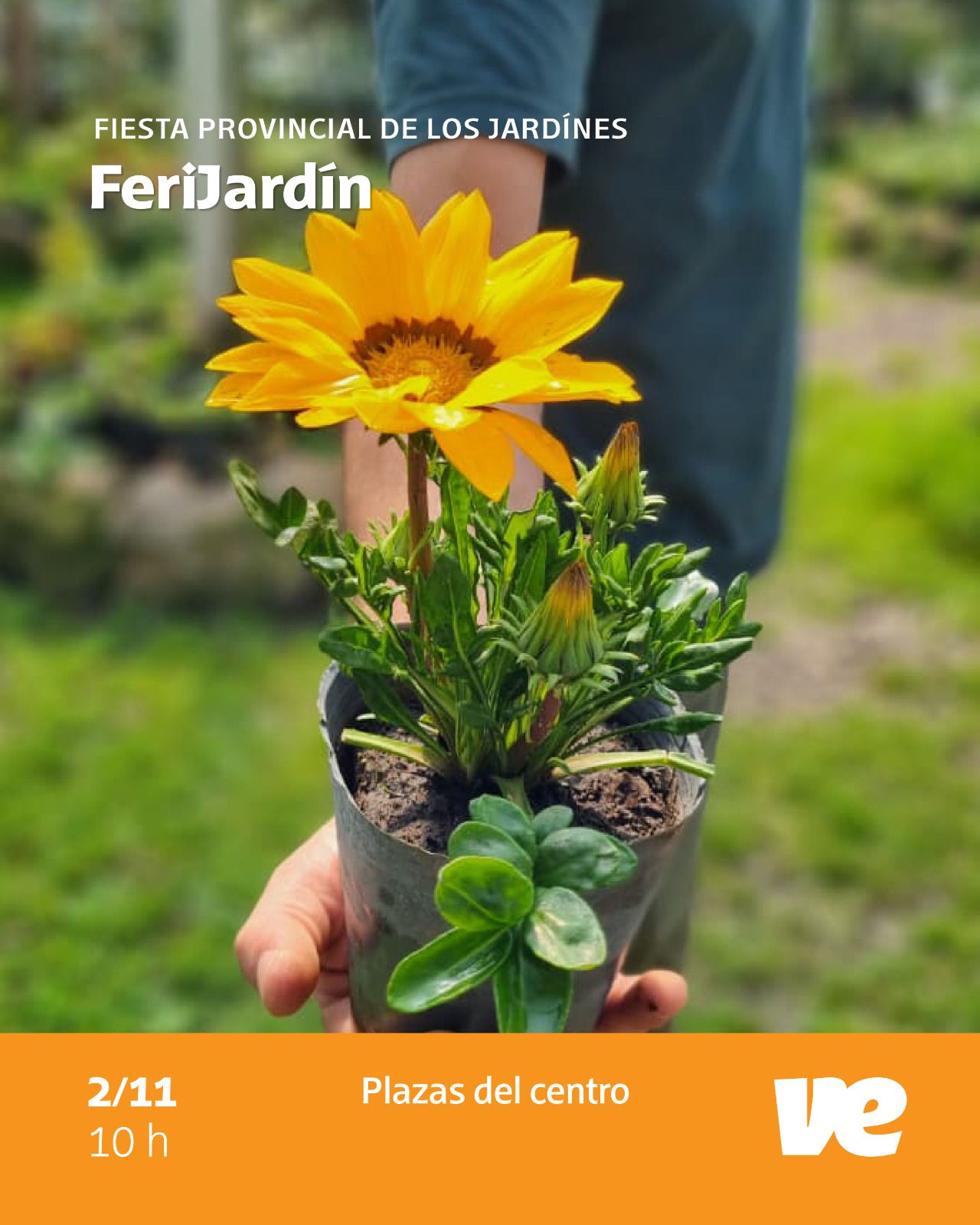 Este domingo 2 de noviembre vivimos FeriJardín 2025