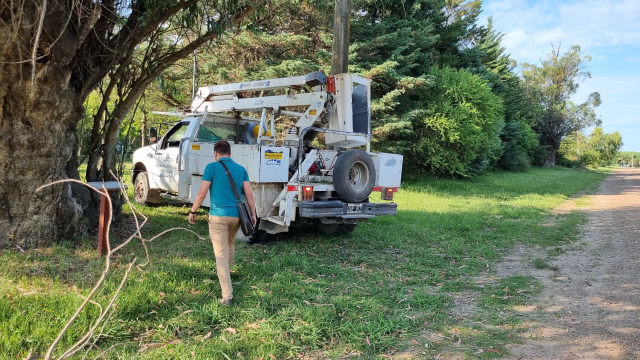 Poda y limpieza del parque de la Estancia El Porvenir