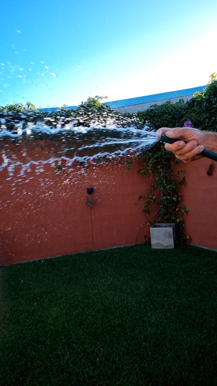Primavera-verano: días y horarios de riego y lavado de veredas