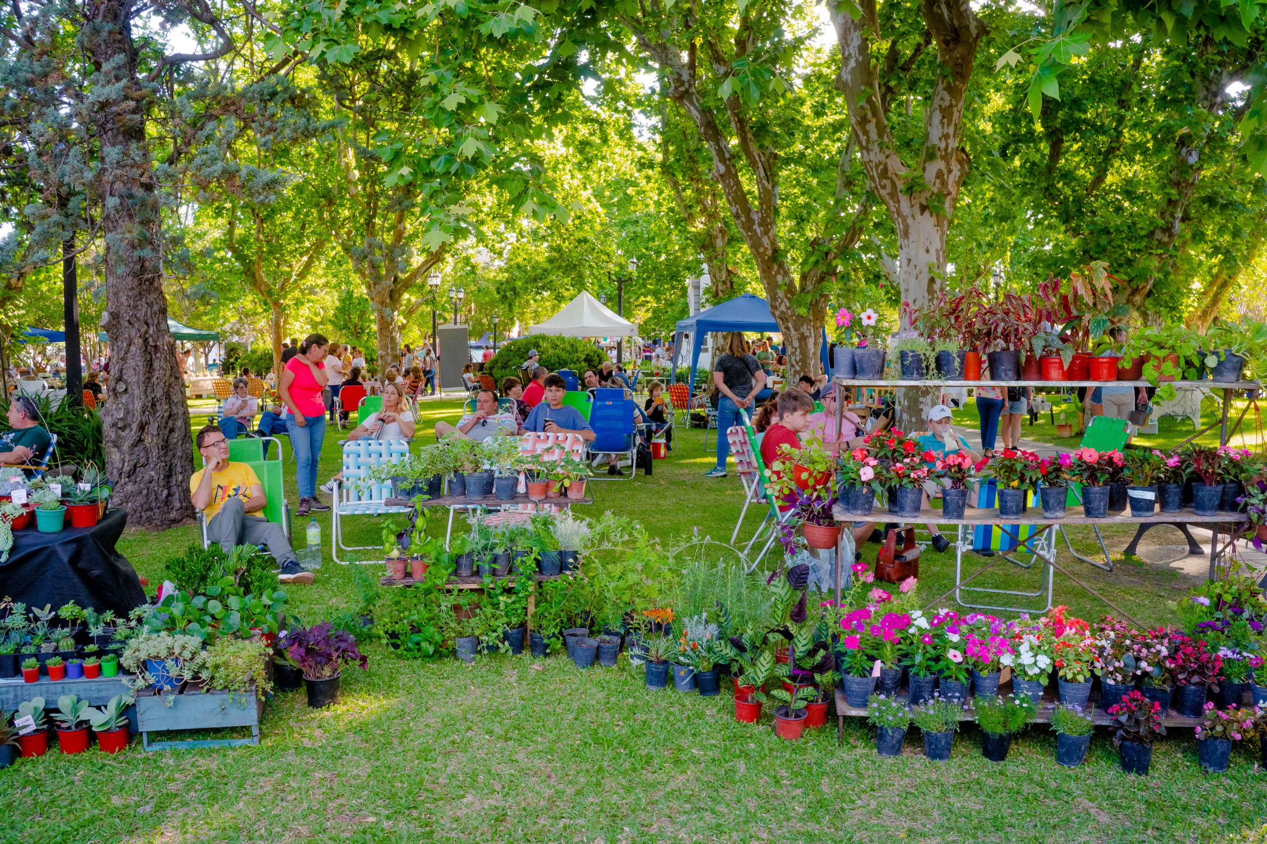Abrimos el calendario festivo de Villa Elisa con la Fiesta Provincial de los Jardines
