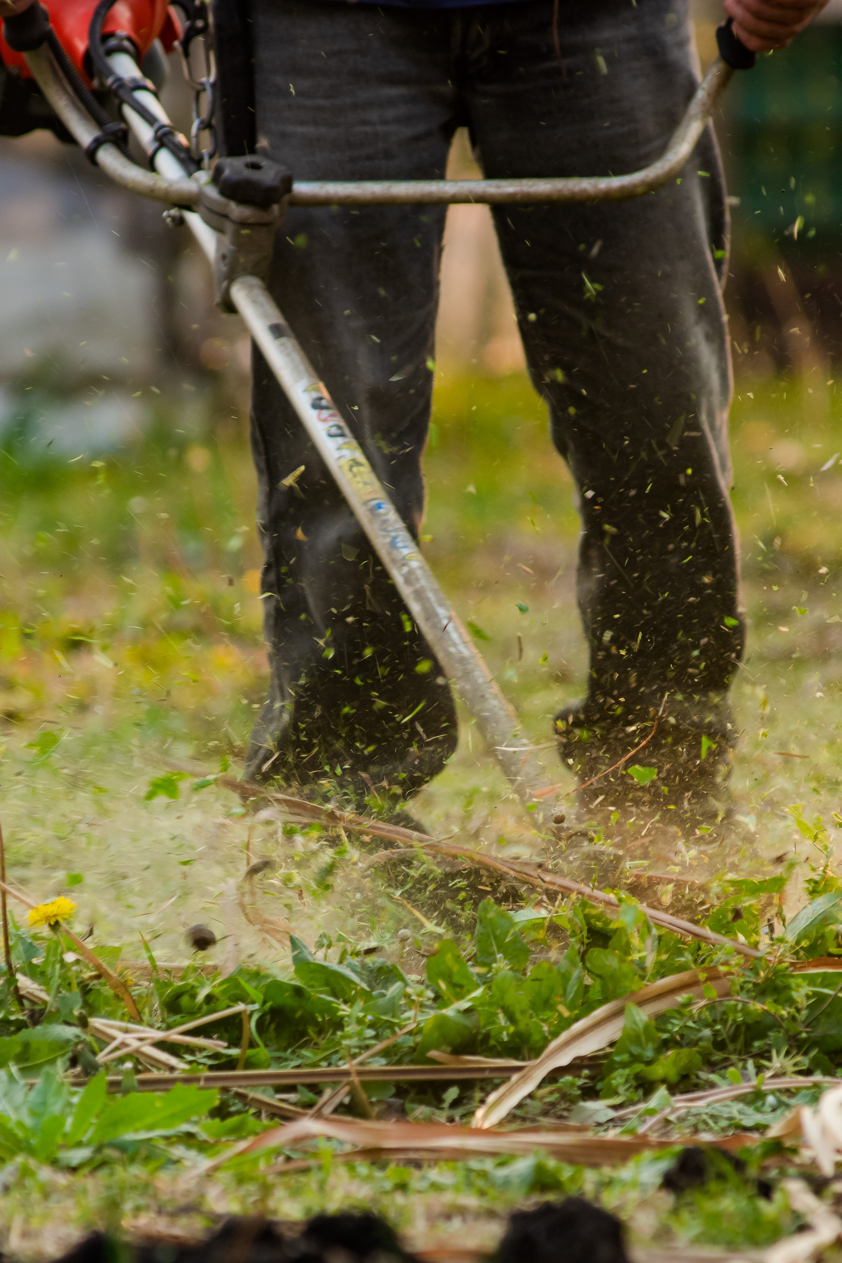 Reforzar el mantenimiento de frentes y terrenos baldíos