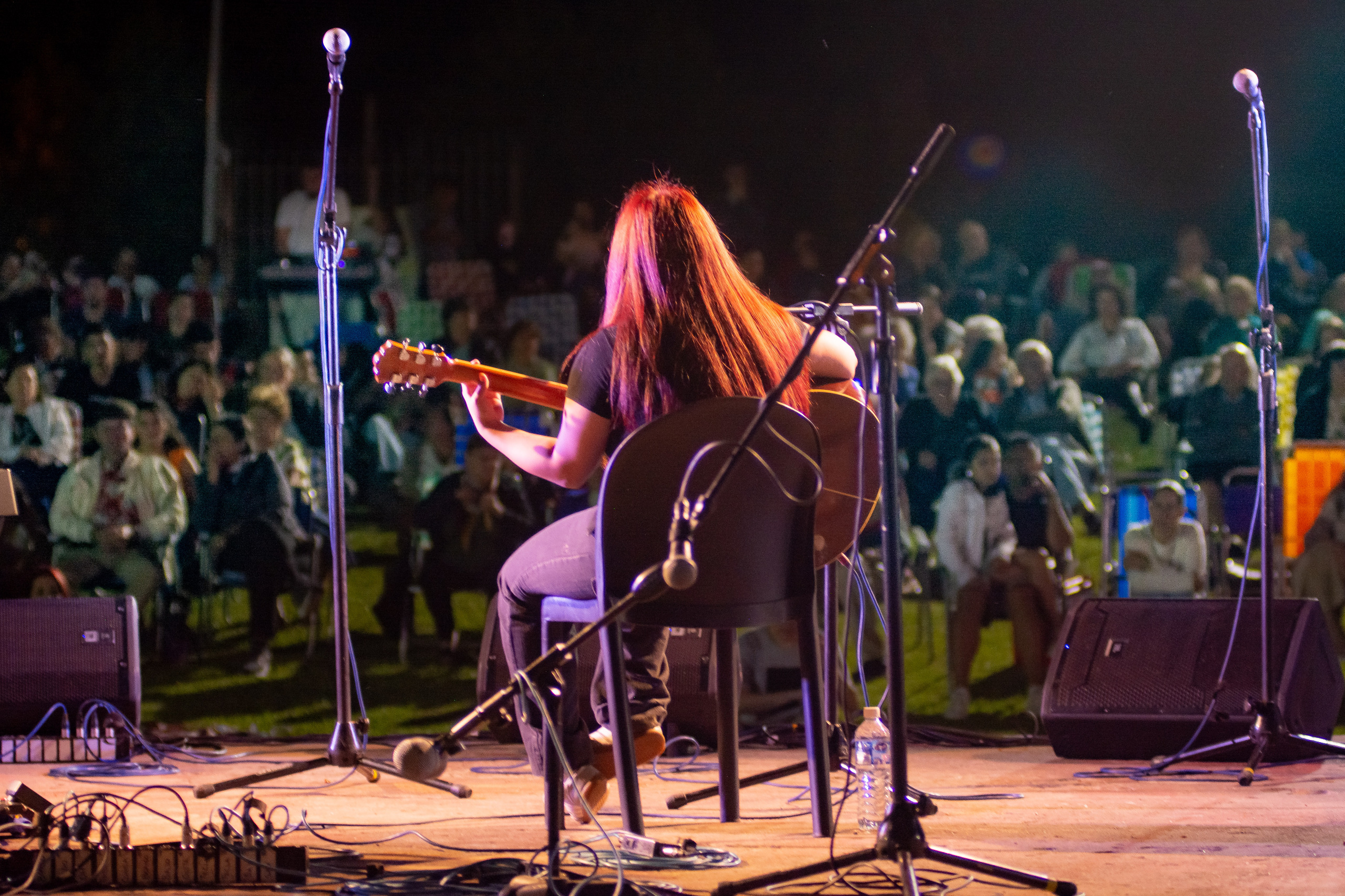 Los músicos populares tendrán su noche en diciembre