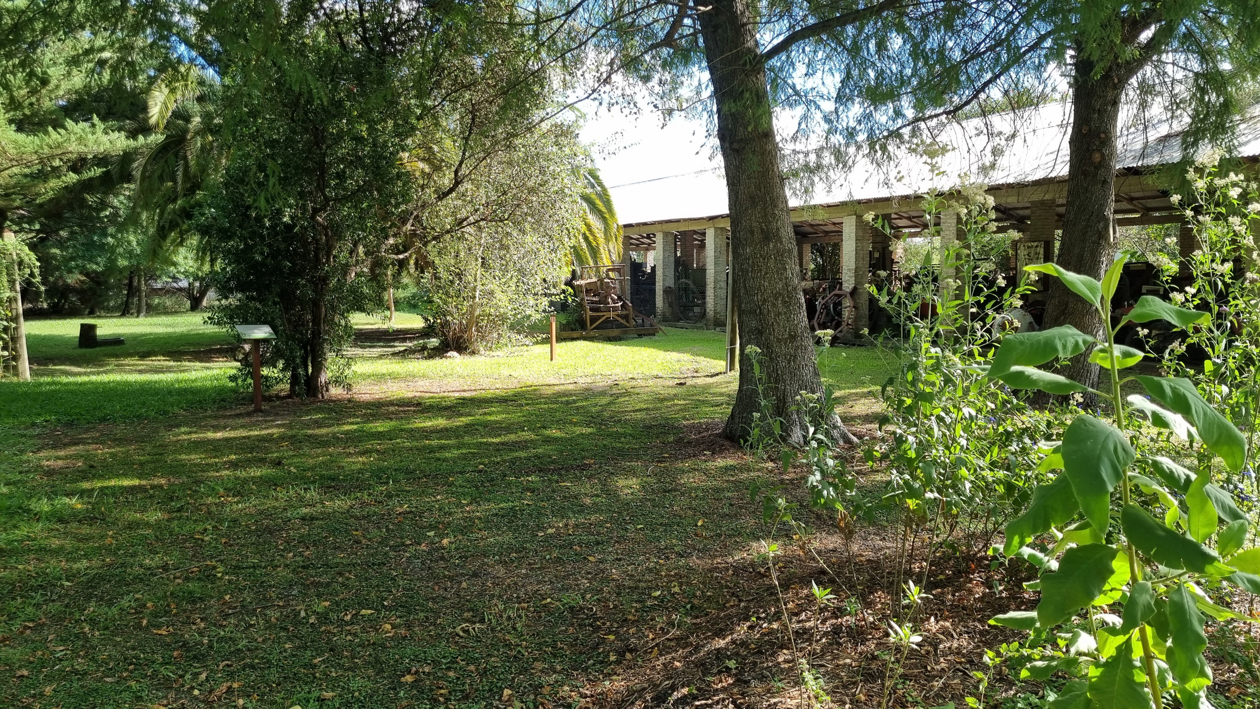 El Parque del Museo, un espacio abierto para disfrutar