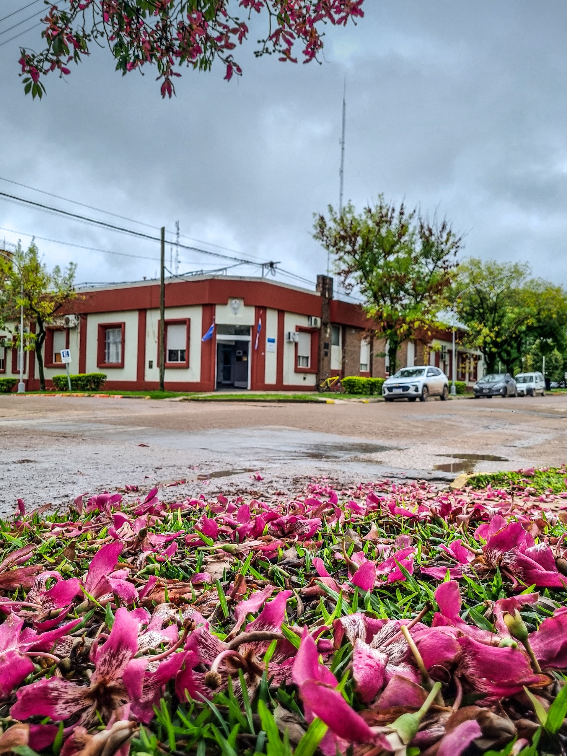 Administración municipal