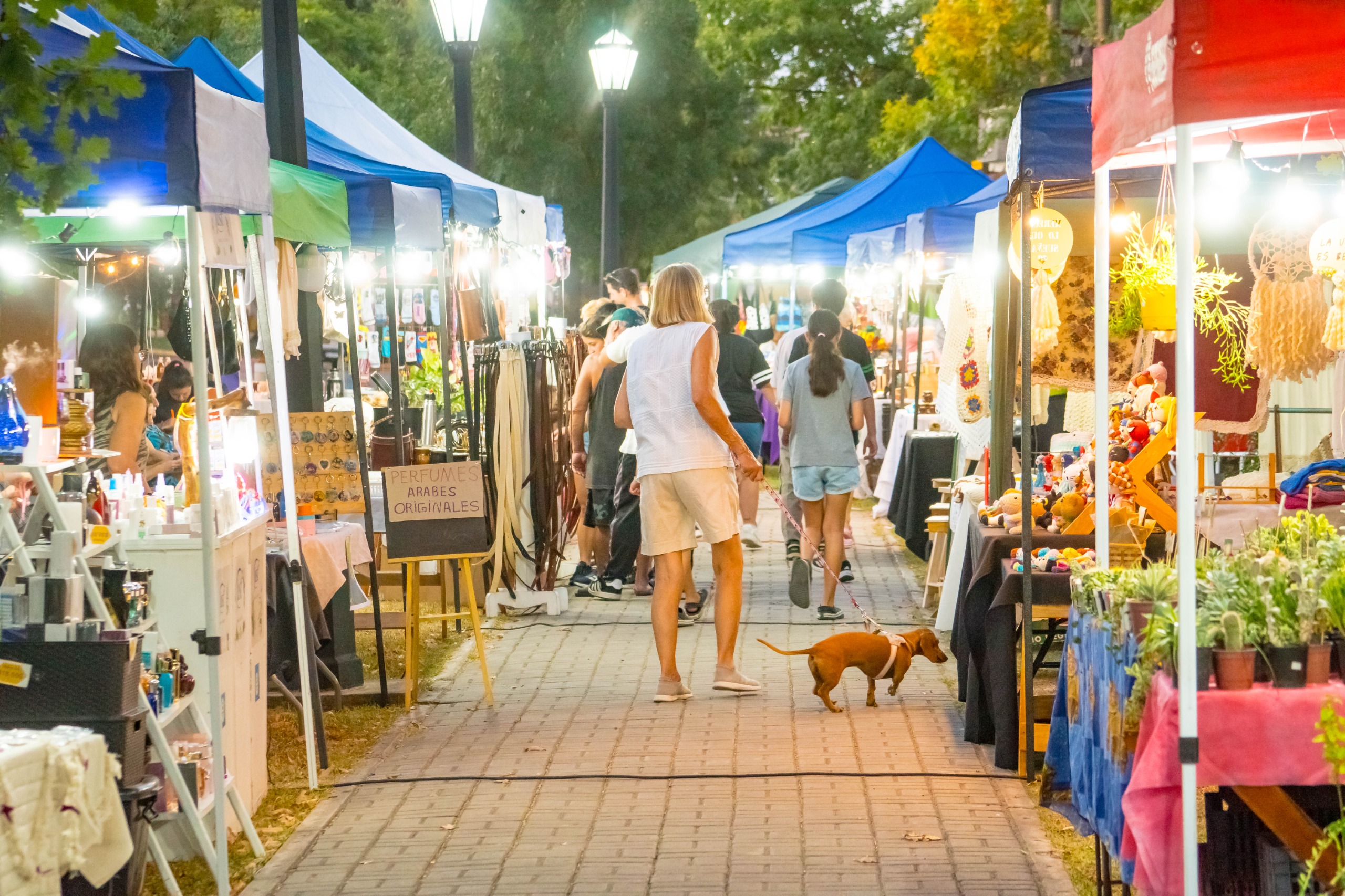 Domingo de Feria de Emprendedores en Villa Elisa