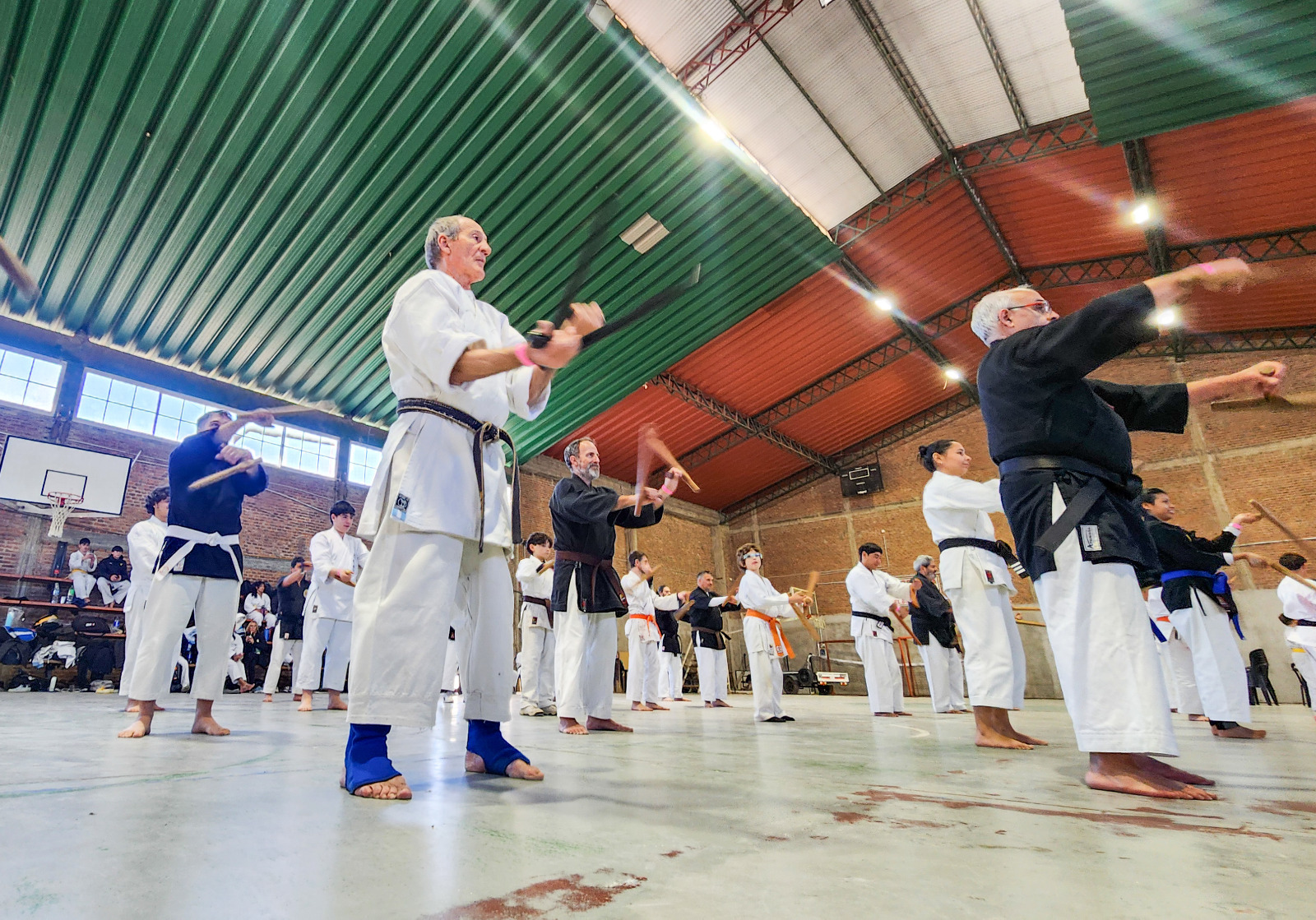 Se realizó un seminario de Karate y Kobudo en Villa Elisa