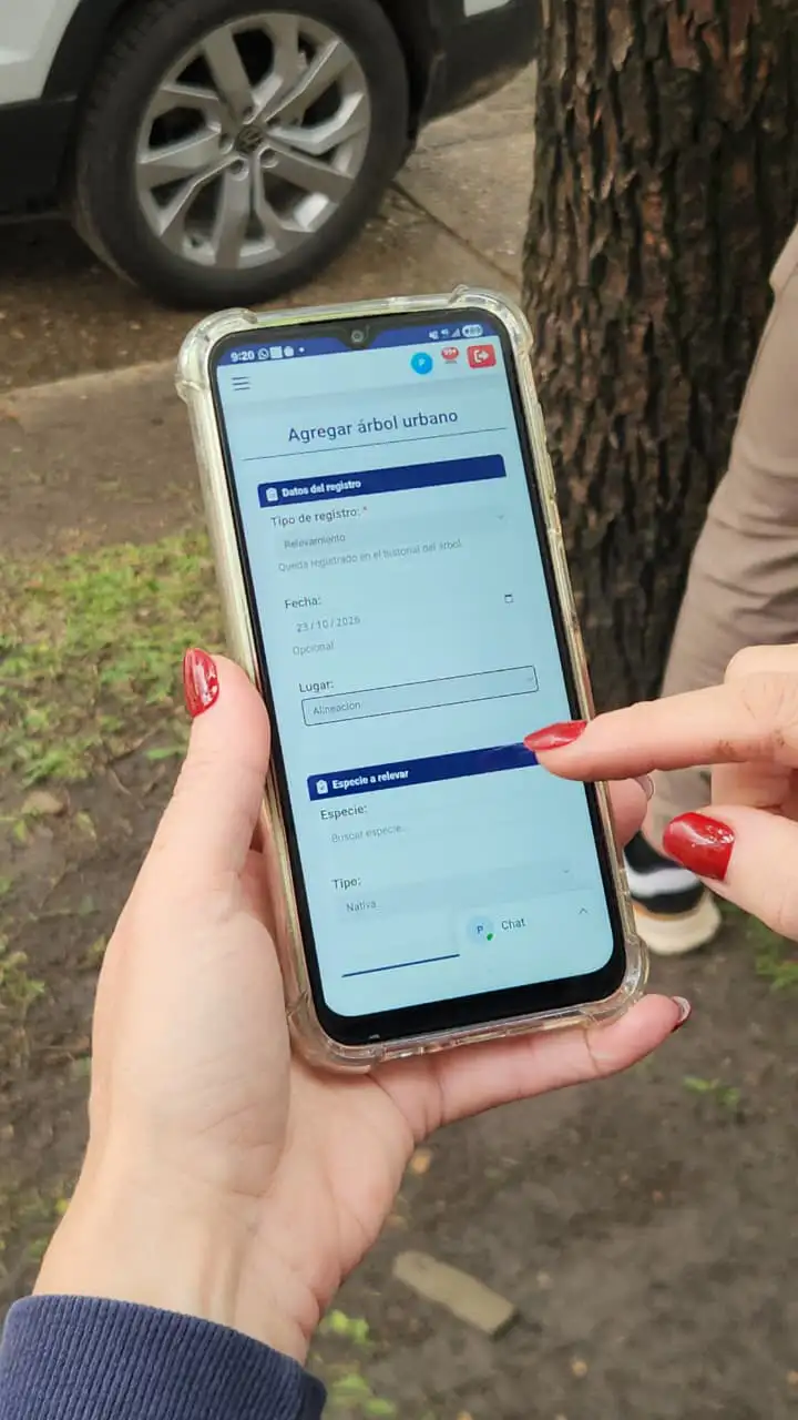Se realiza el primer censo del arbolado público de la ciudad