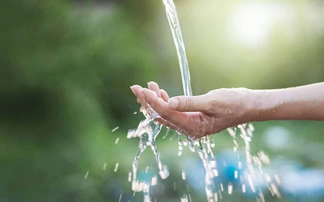 Nuevas medidas y horarios de riego para cuidar el agua en la ciudad