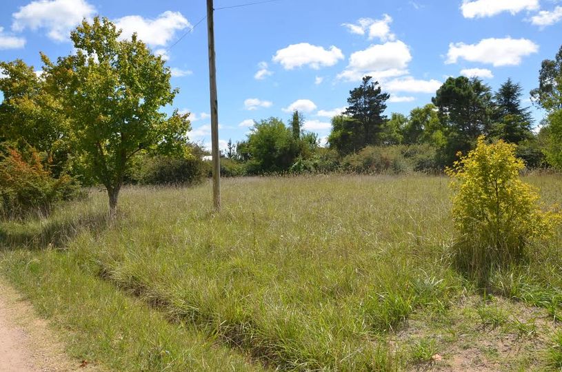 Mantenimiento de terrenos baldíos en Villa Elisa