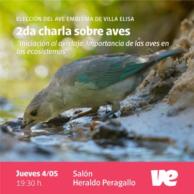 Las aves y su importancia en los ecosistemas