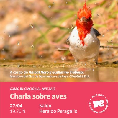 Las aves tienen su lugar en la Semana del Libro