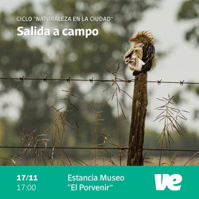 Salida a campo para cerrar el ciclo “Naturaleza en la Ciudad”