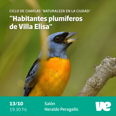 Segunda charla del ciclo “Naturaleza en la ciudad”, hoy en el Salón Peragallo