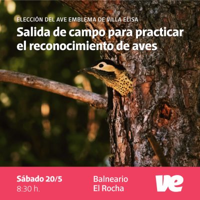 Observación de aves en el Balneario El Rocha