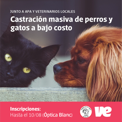 Castración masiva de perros y gatos a bajo costo en Villa Elisa