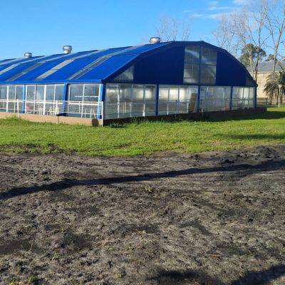 Un Natatorio con más espacio para esparcimiento y recreación