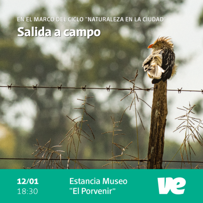 Primera salida a campo del año en el Museo “El Porvenir”