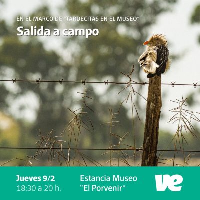 Tercera y última salida a campo en el Museo “El Porvenir”