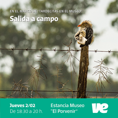 Nuevas salidas a campo en el Museo local