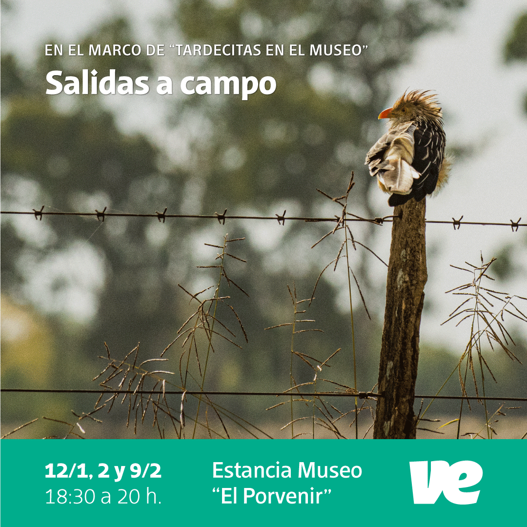 Salidas a campo – Ciclo Naturaleza en la Ciudad
