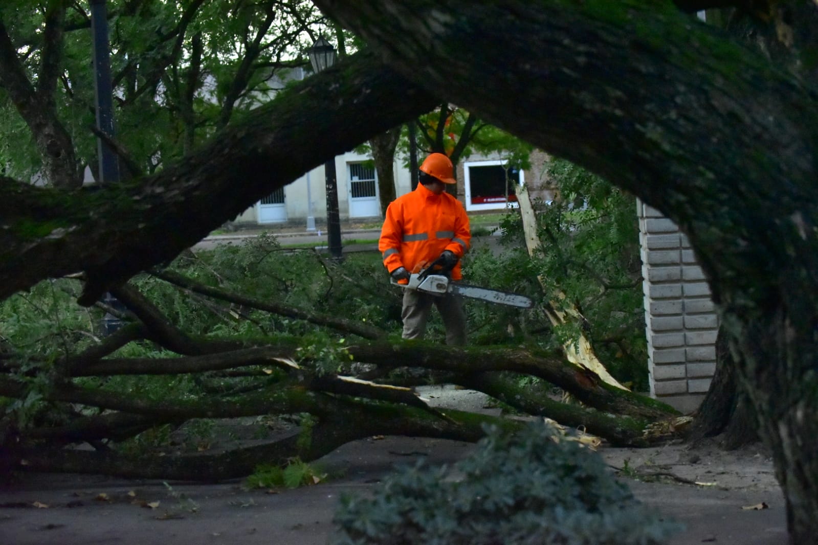 Intensos trabajos en la ciudad después de la tormenta